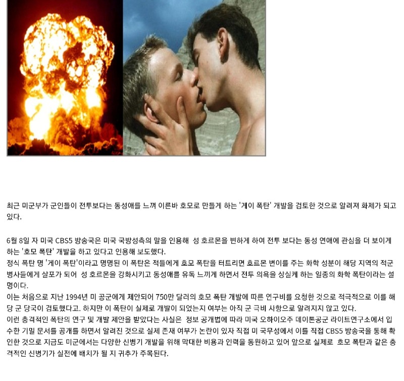 미군의게이폭탄.jpg
