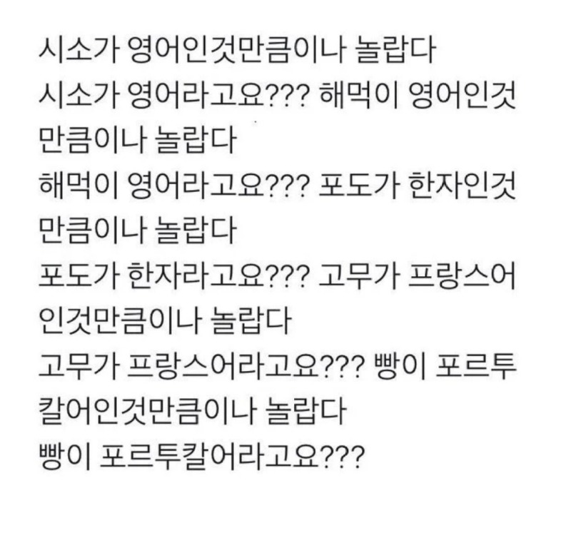 시소가영어인것만큼이나놀라운것.jpeg