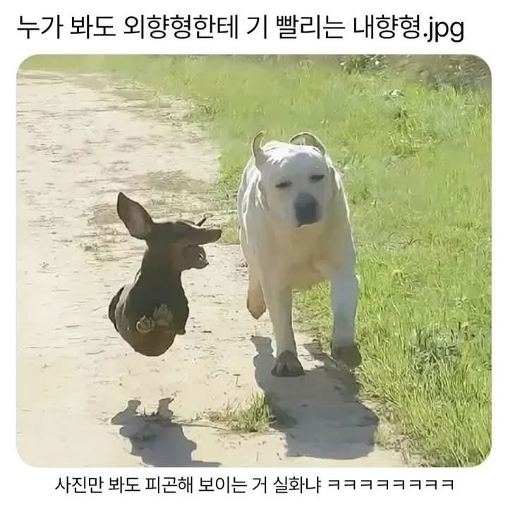 말좀그만해.jpg