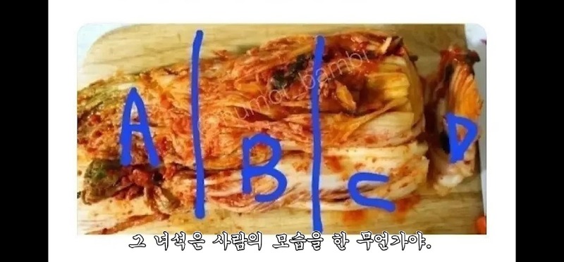 어느스트리머의개쩌는탈룰라대처법3.jpg