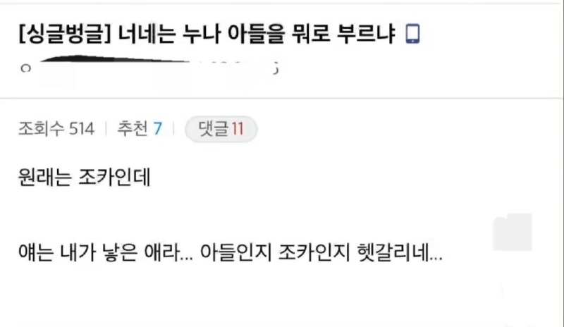너네는누나아들을뭐로부르냐물음표.jpg