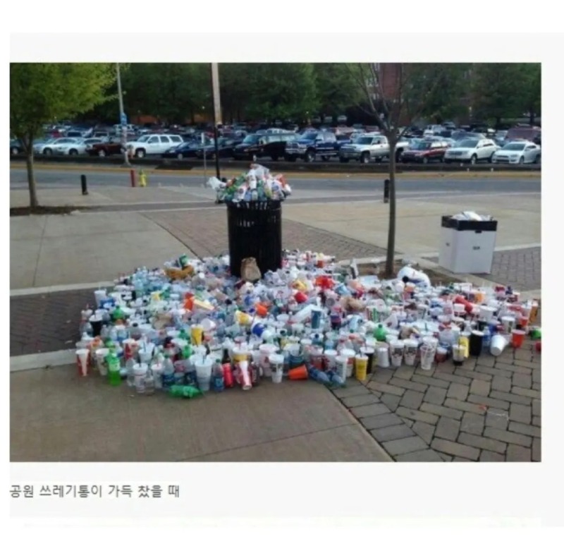 레전드라는캐나다의시민의식1.jpeg