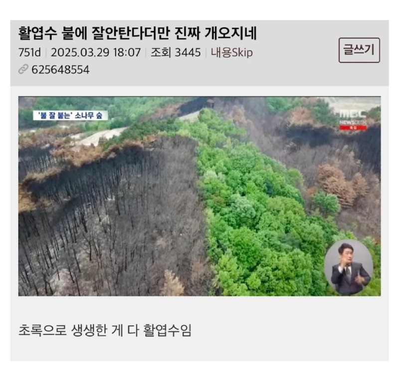 의외로불에잘안타는나무1.jpeg