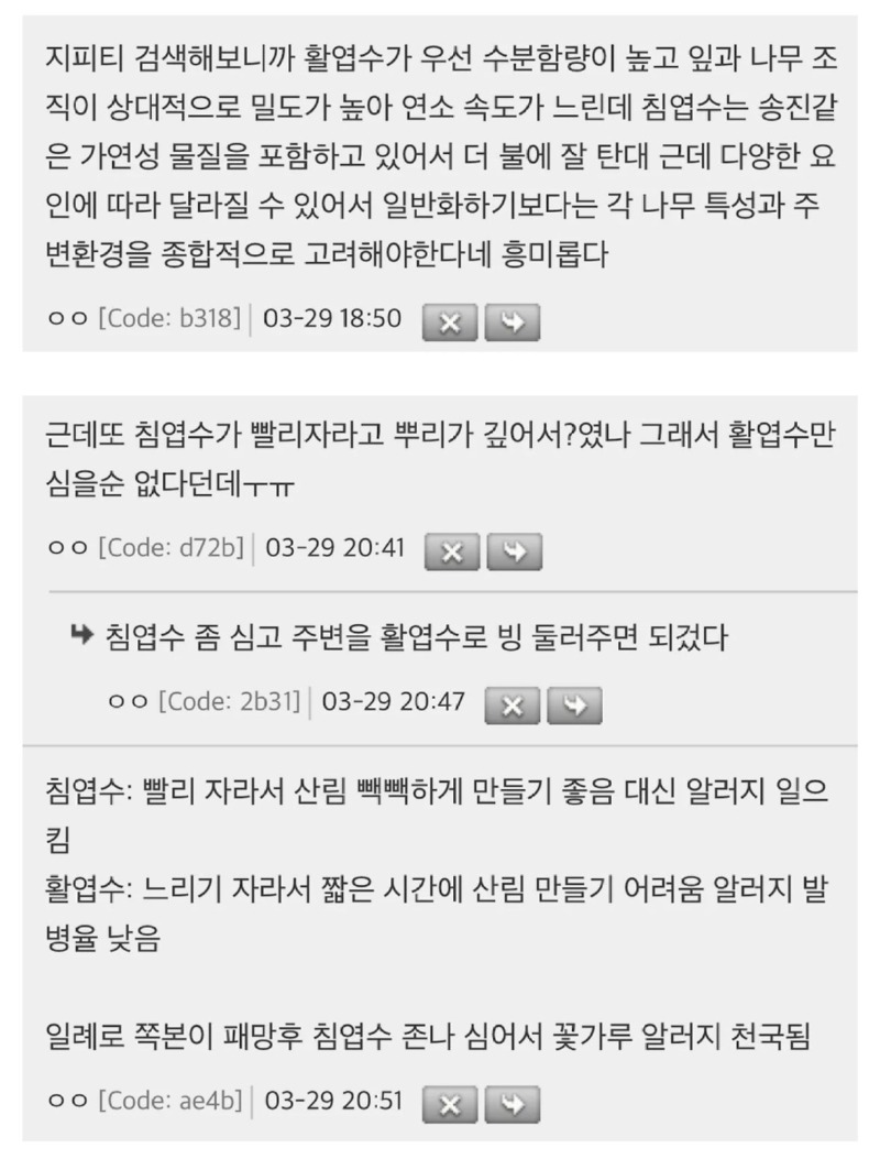 의외로불에잘안타는나무2.jpeg