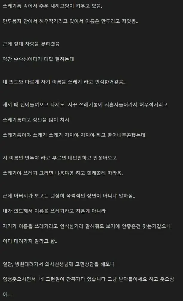 고양이이름이쓰레기가됐다.webp
