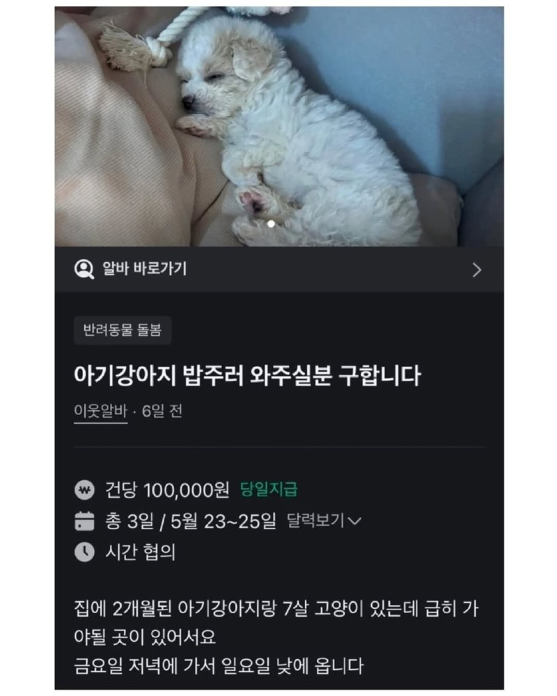 당근알바중400명넘게지원한알바1.jpg