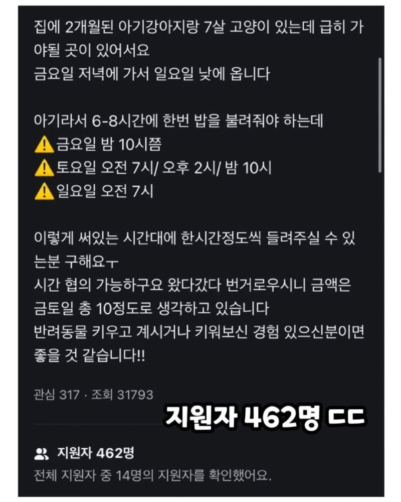 당근알바중400명넘게지원한알바2.jpg