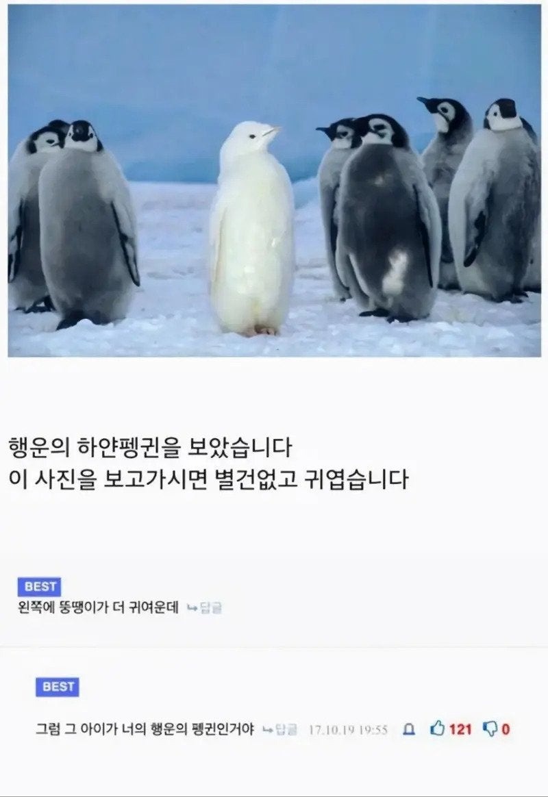 따듯하고다정한말한마디5.jpg