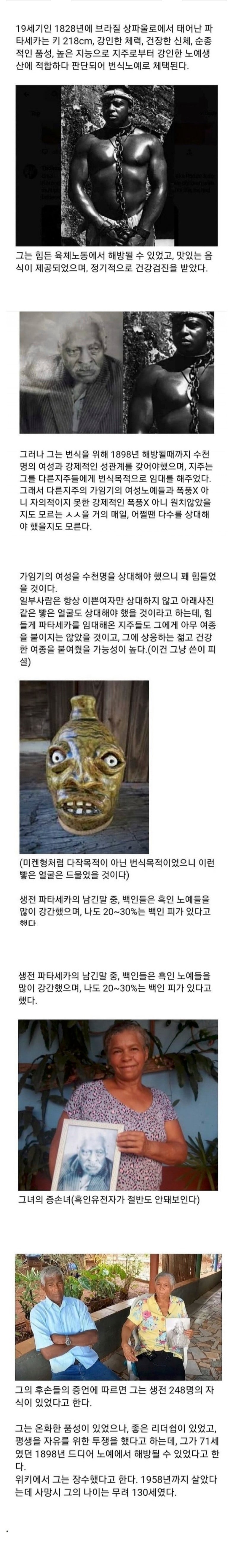 십구세기에존재했던번식노예.jpeg