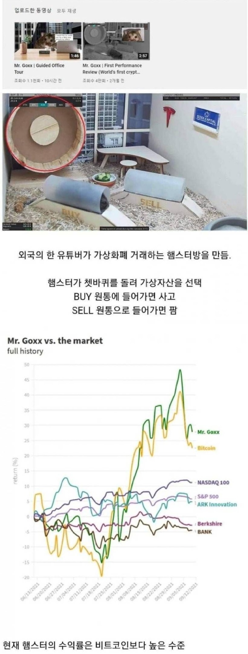 햄스터로굴리는가상화폐.jpg