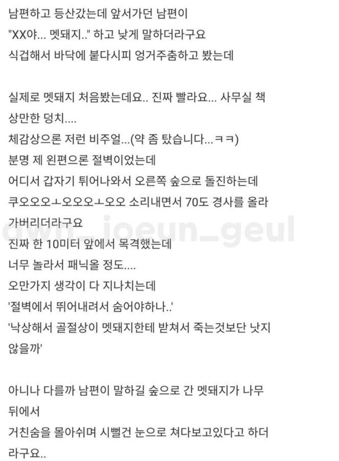 자동음성지원되는연예인목격담1.jpg