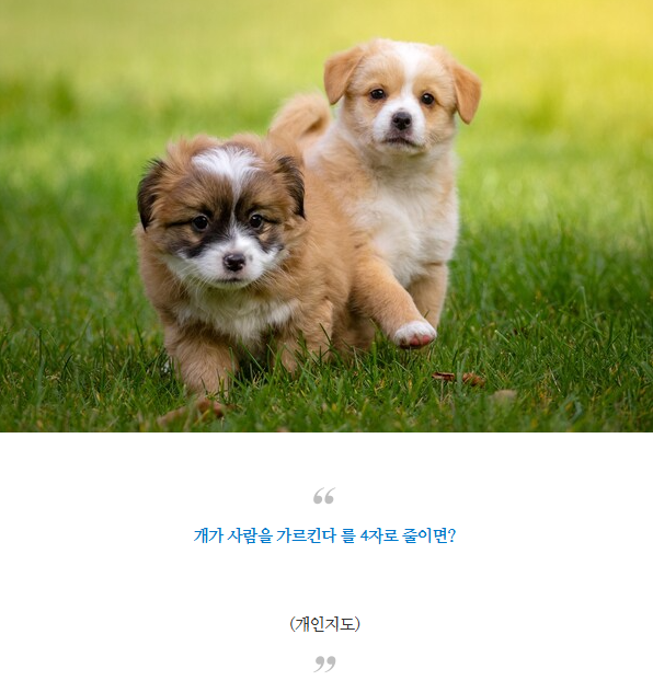 넌센스같은유머7.png