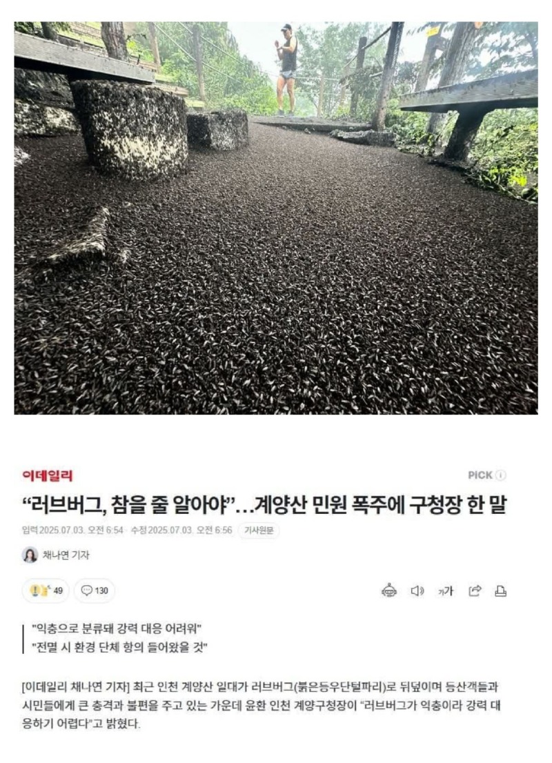 극혐계양산러브버그.jpeg