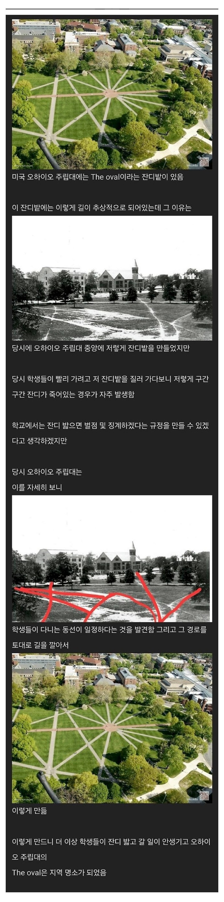 학생들이잔디밭을밟자학교에서취한조치.jpeg