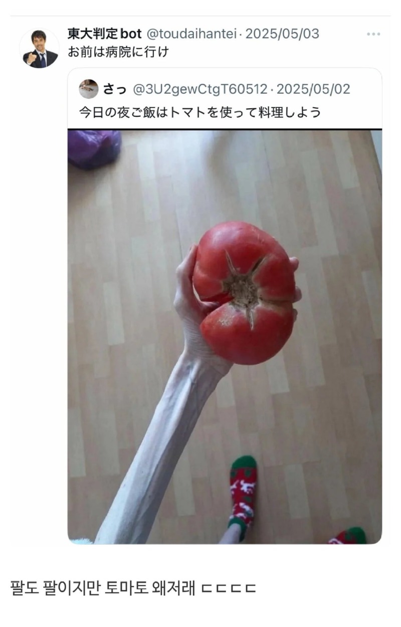 오늘저녁은토마토를사용한요리라는사람.jpeg