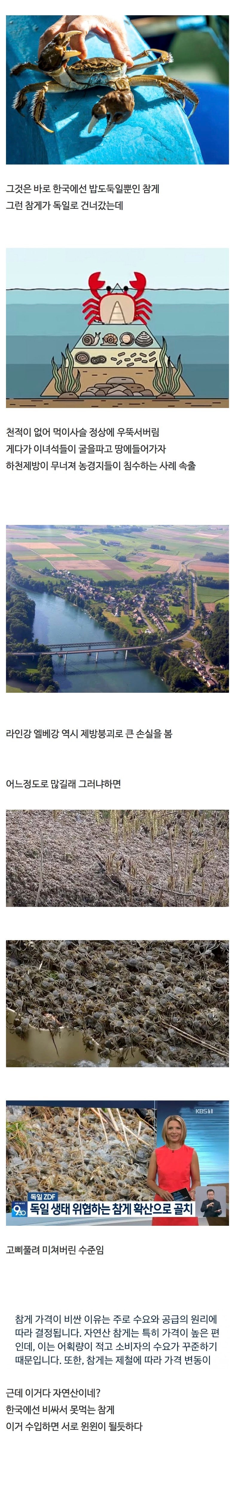 독일생태계를작살내는중인한국산동물.jpeg