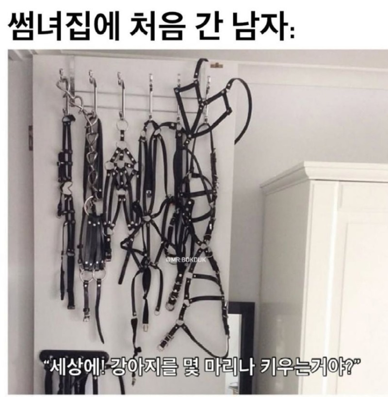 강아지키우는썸녀.jpg