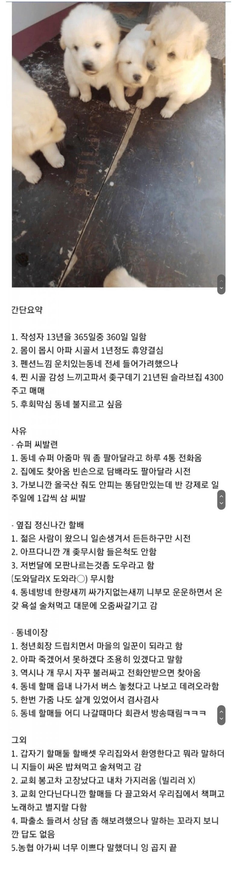 몸이아파서귀촌한후기.jpeg