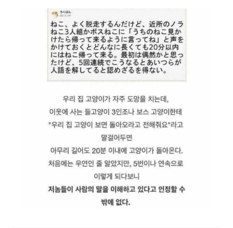 의외로사람말을알아듣는존재.jpeg