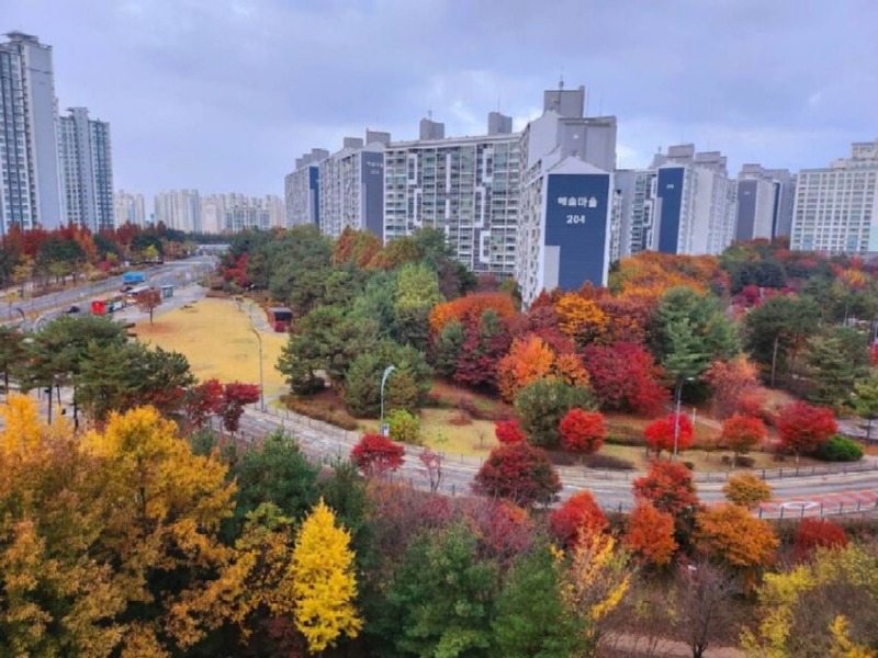 작년11월2주만에벌어진일1.jpg