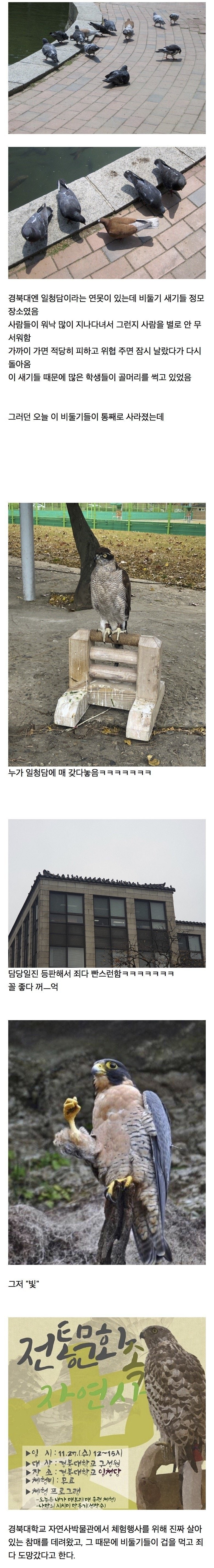 매형을데려와버린경북대.jpg