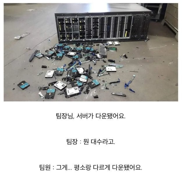 네물음표서버가평소랑다르게다운되었다는게무슨소리세요물음표.jpg