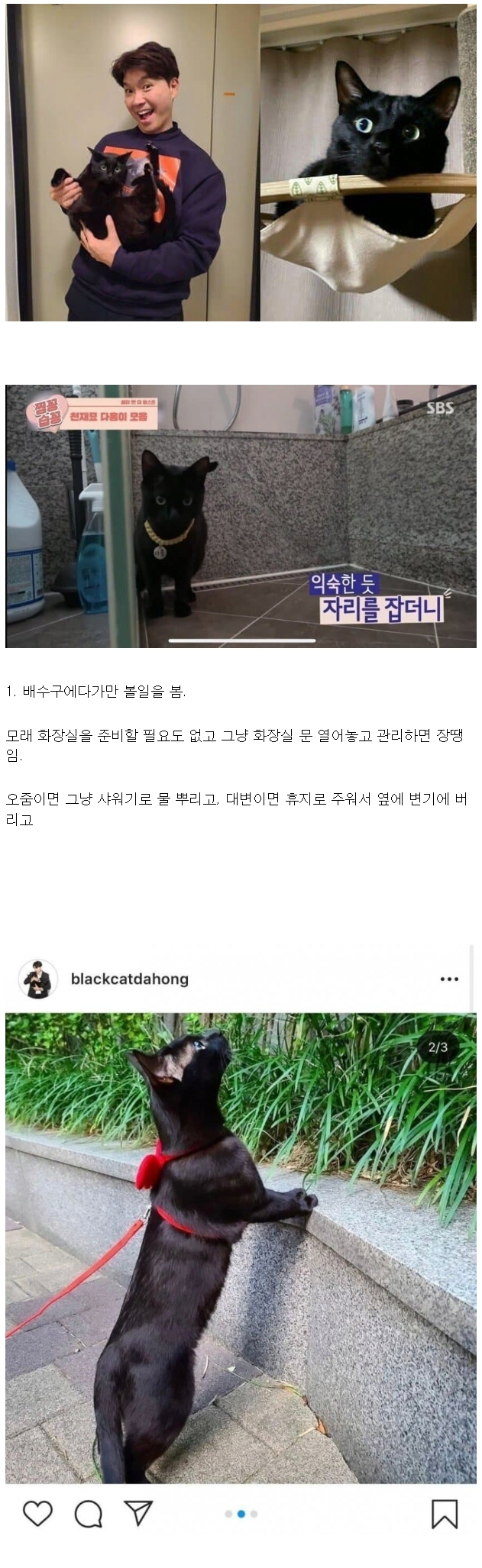박수홍의SSS급펫1.png