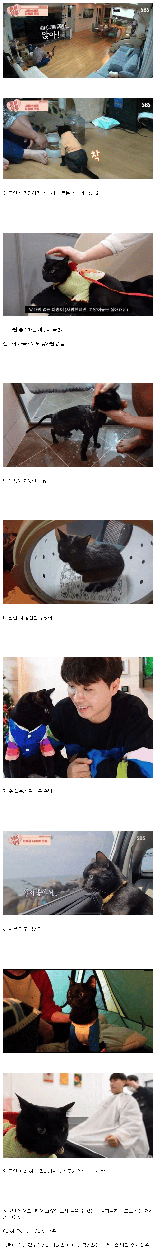 박수홍의SSS급펫3.png