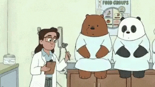 개발자의이상과현실2.gif