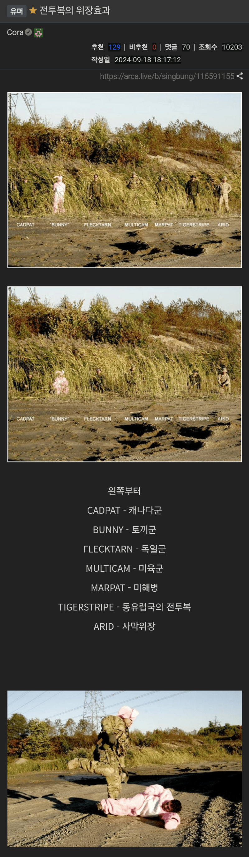 여러나라전투복의위장능력.png