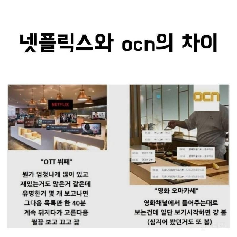 넷플릭스vsOCN차이.jpg
