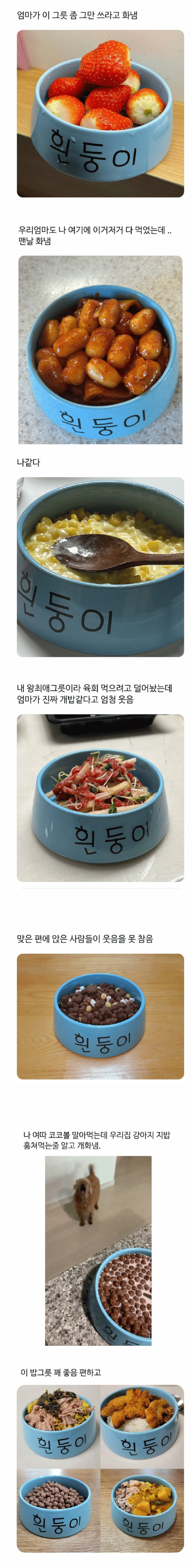 엄마가이그릇좀그만쓰라고화냄.png