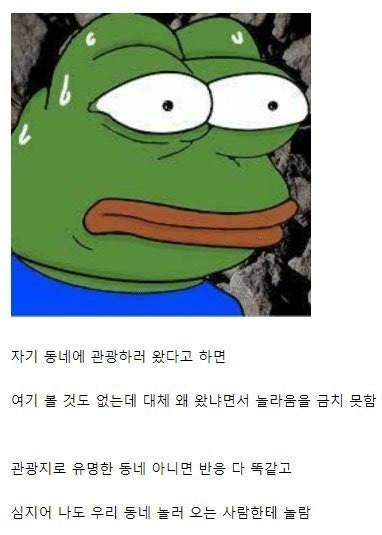 전세계지방사람들공통점.jpeg