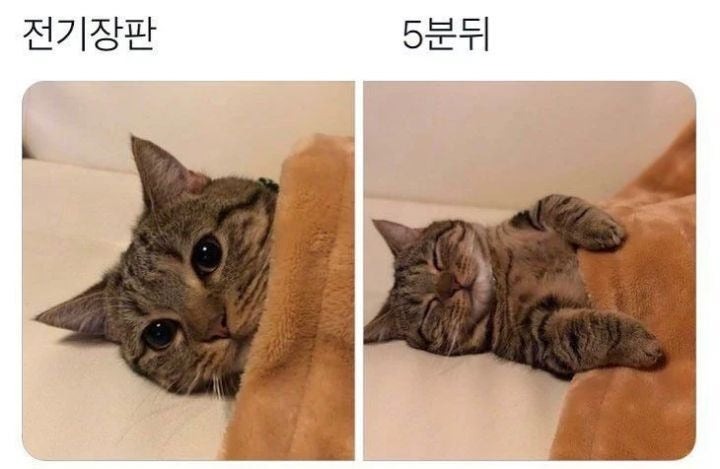 몸에열많은사람특징.jpg