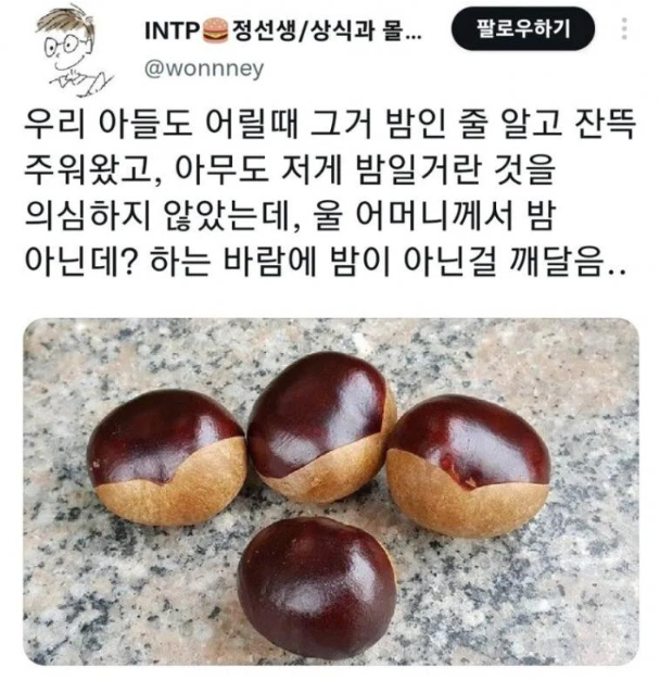 밤인줄알고먹으면큰일나는밤같이생긴열매1.png