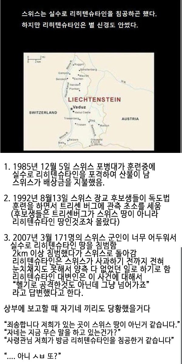 실수로이웃나라를침략해버린국가.jpg