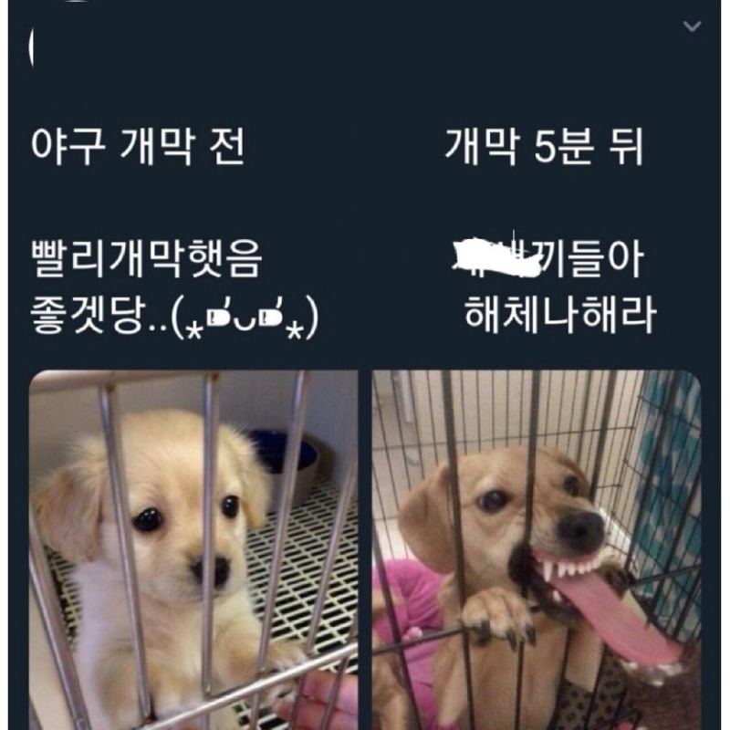 야구팬들이탈덕을못하는이유4.jpg