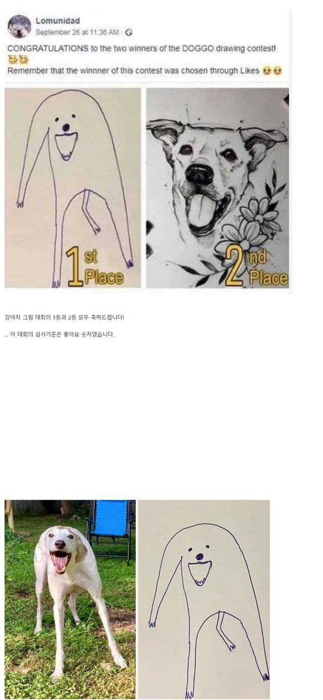 강아지그리기대회1등과2등.jpg