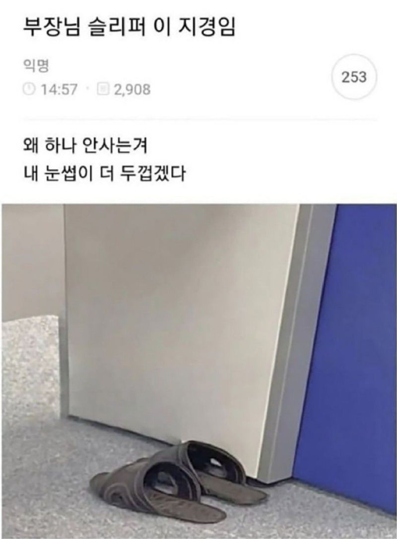부장님의애착슬리퍼.jpg