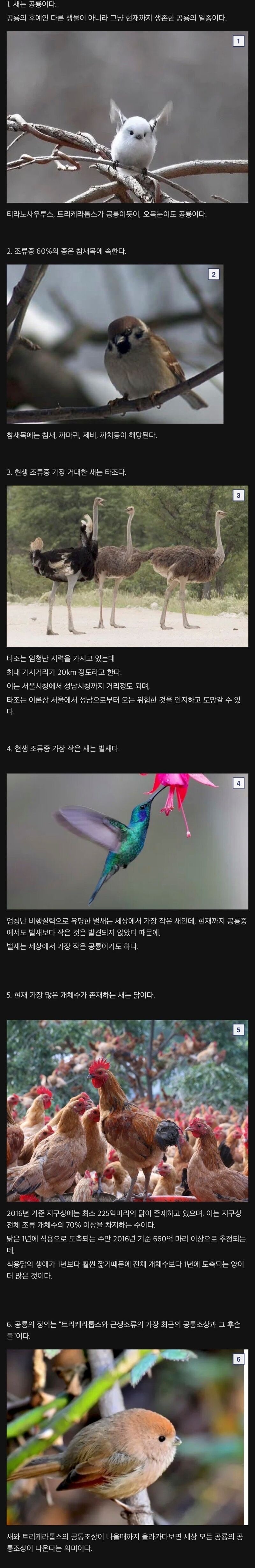 새에대한6가지사실.jpg