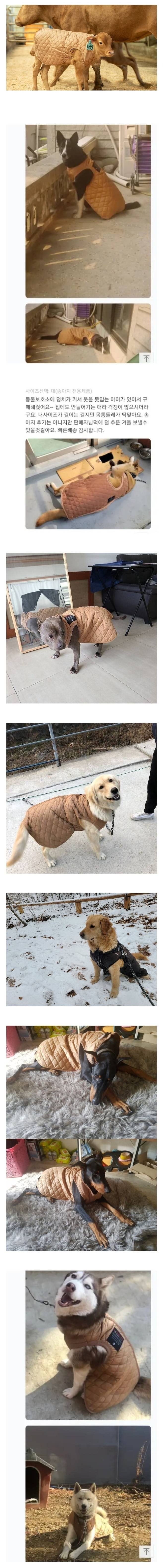 송아지전용인데대형견후기만가득.jpg