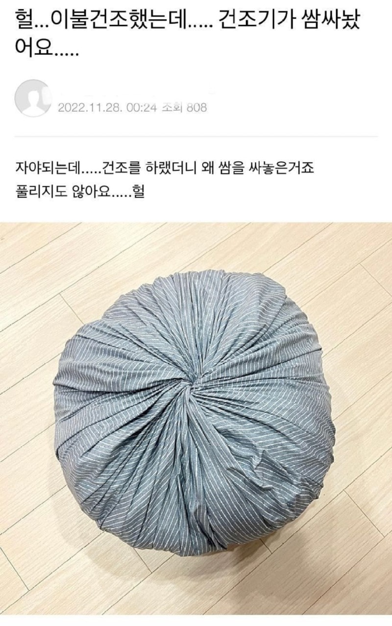 건조기가빚어주는만두1.jpg