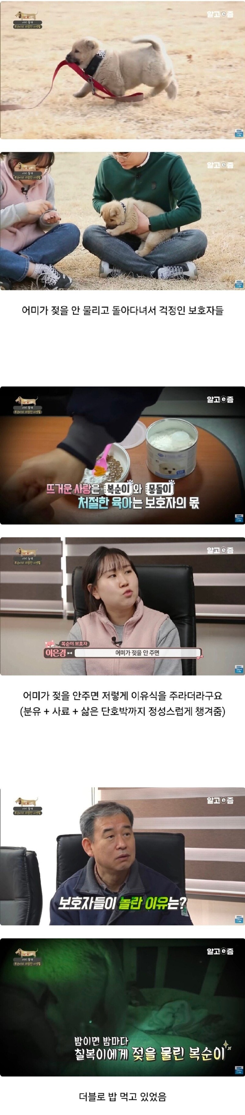 오주차이상하게몸이3개월인댕댕이.jpg