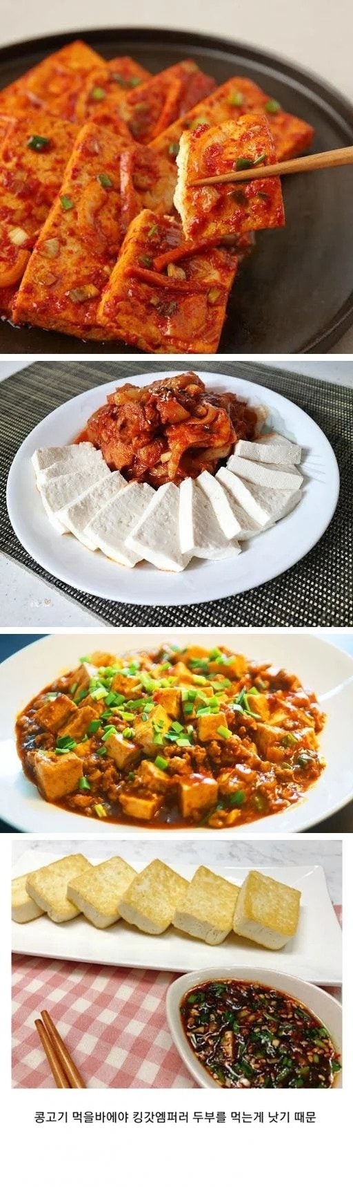 한국에서콩고기가반응없는이유.jpg