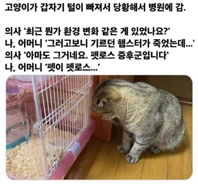 의사가했던충격적인말들2.jpg