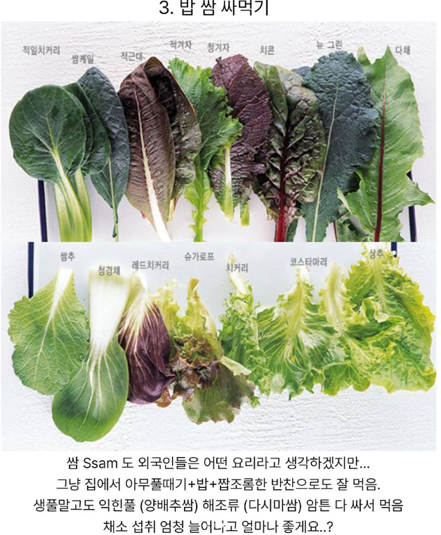 정말한국인스러운식습관3.png