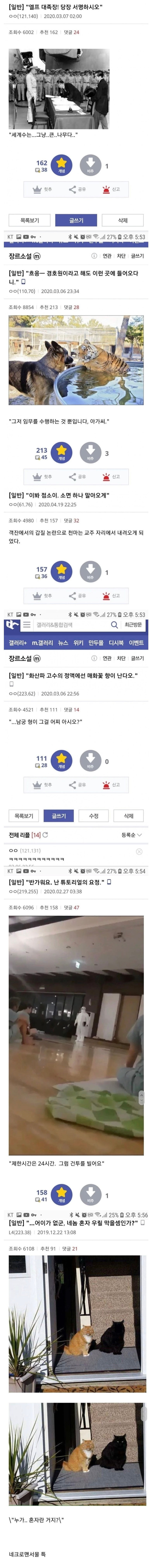 디시장르소설갤드립모음1.jpeg