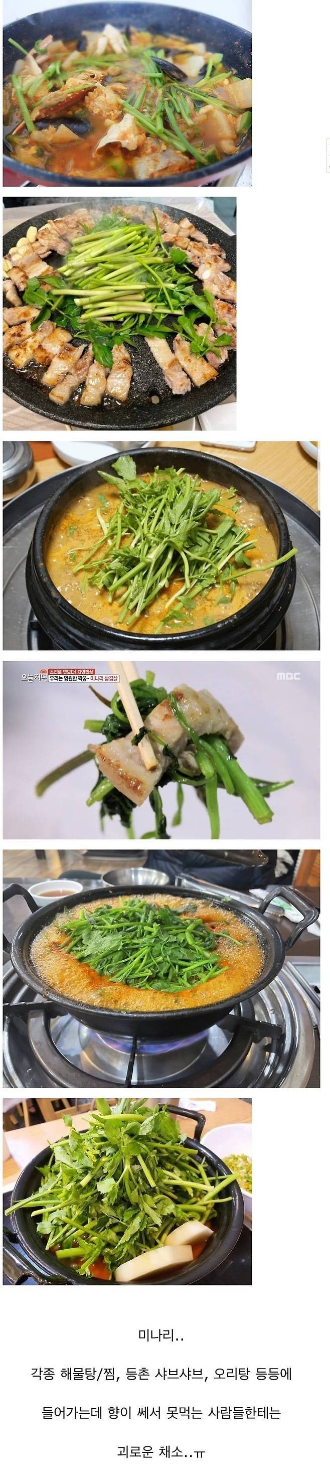 싫어하는사람에겐고수급인채소.jpg