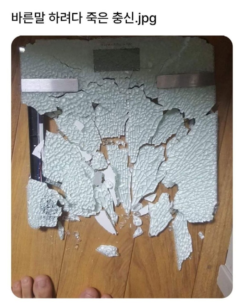바른말하려다죽은충신.jpg