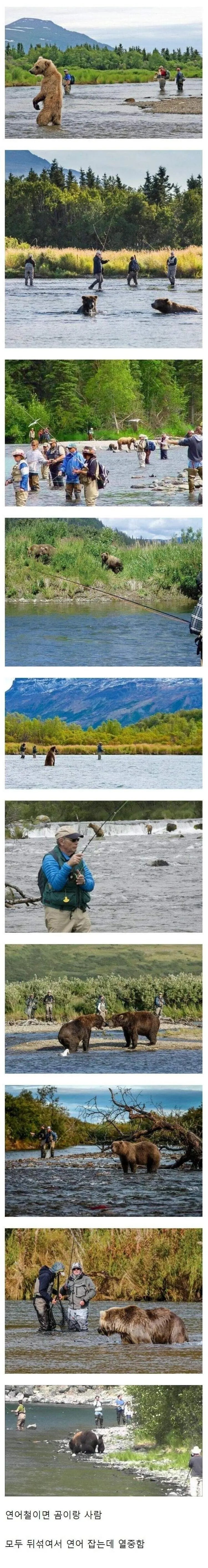 연어가돌아올때의알래스카풍경.jpg